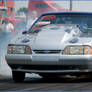 Mustang Burnout