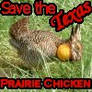 Save the Texas Prairie Chicken