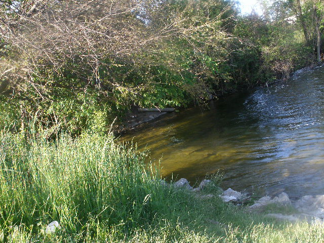 by the lake