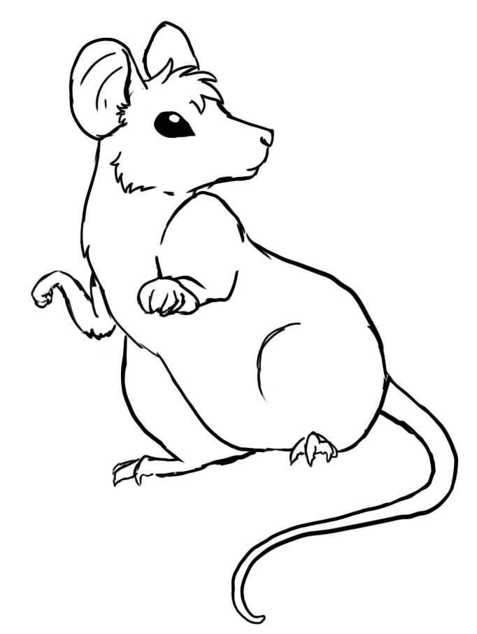 F2U Rat base by JinKitsuka on DeviantArt