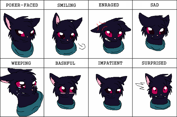 Pittoo expressions