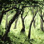 Forest Landscape - One