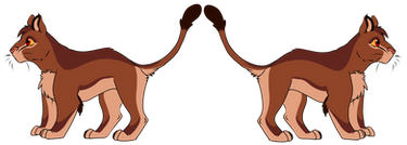 Ayubi patterns
