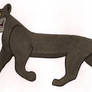 Bagheera Colored