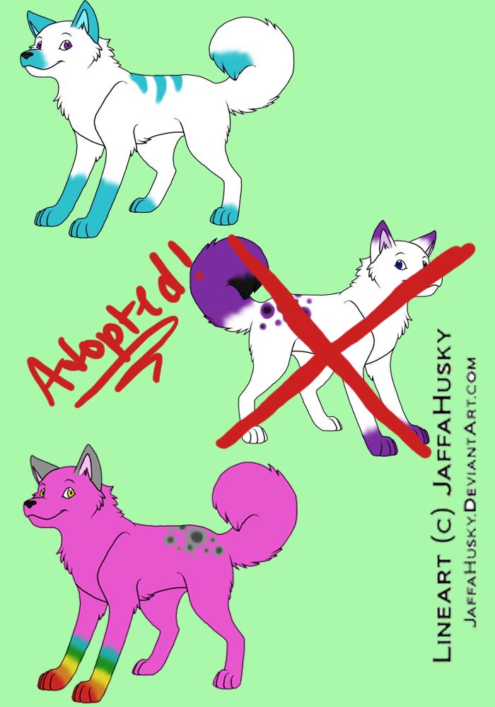 Adoptables - Batch 3