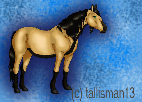 Tallisman Horse