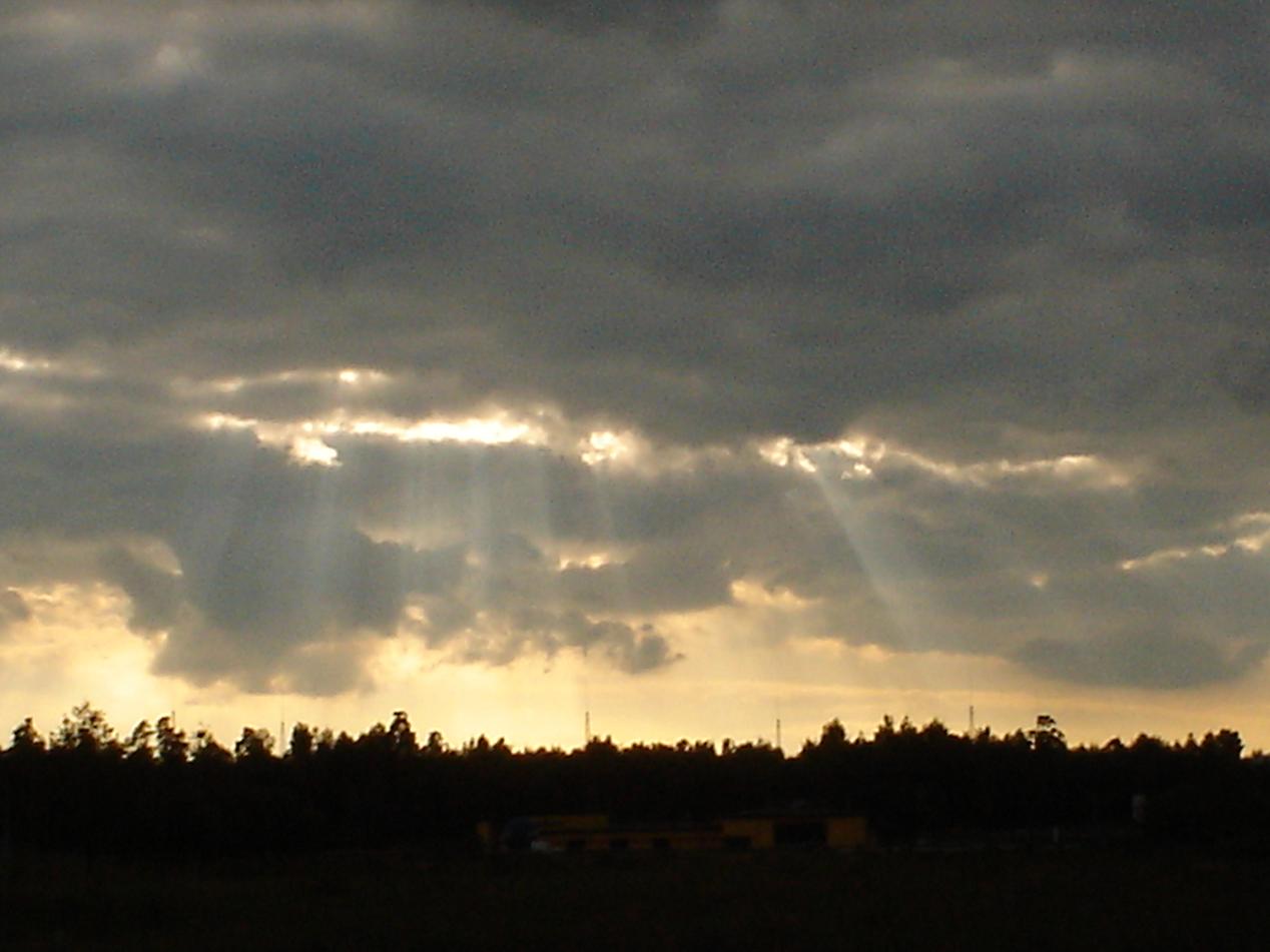 rays of light