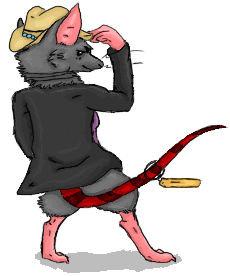 RaTallahassee