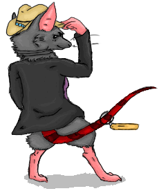 RaTallahassee