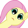 Fluttershy