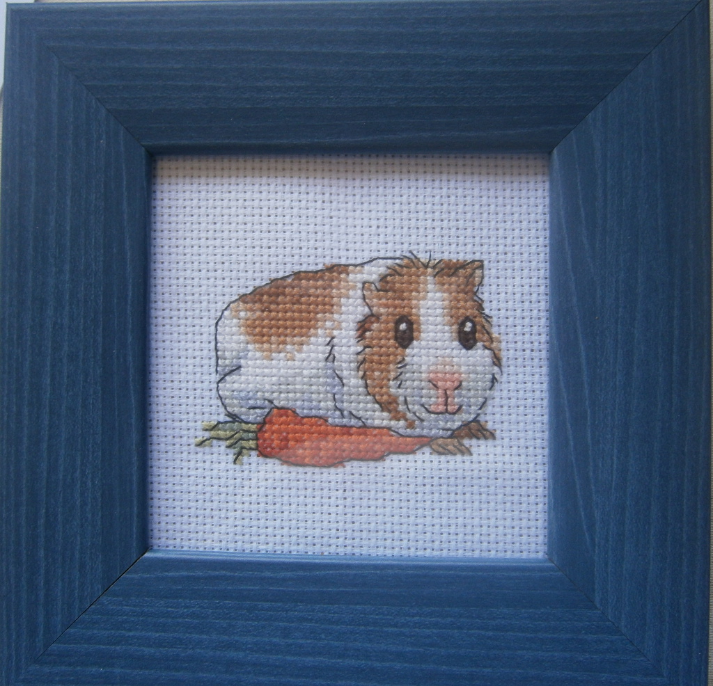 RTO - Cavy with Carrot