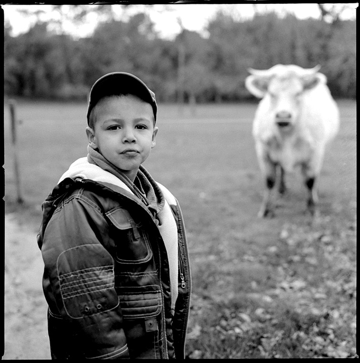 Jo and the bull