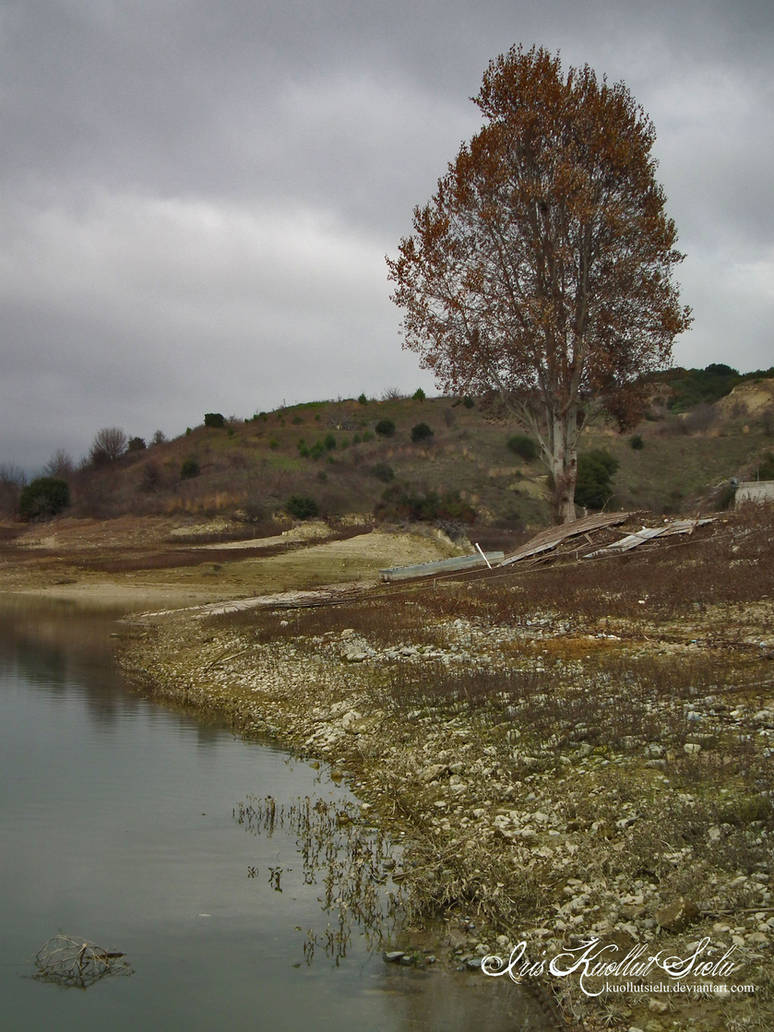 dying nature