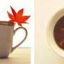 Autumn Tea I