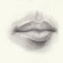 Female Lips 2