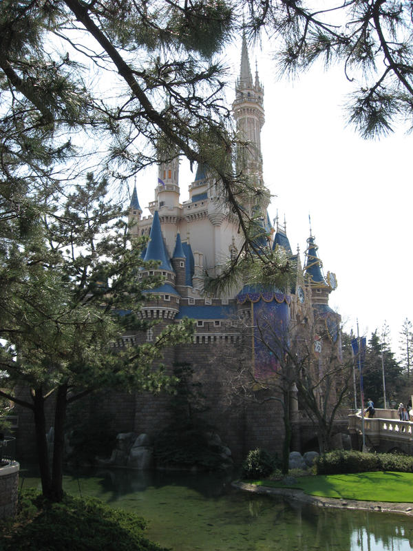 Disney Castle: Day