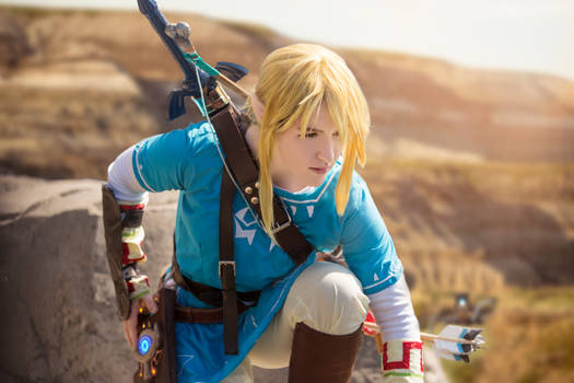 Link - Breath of the Wild Cosplay