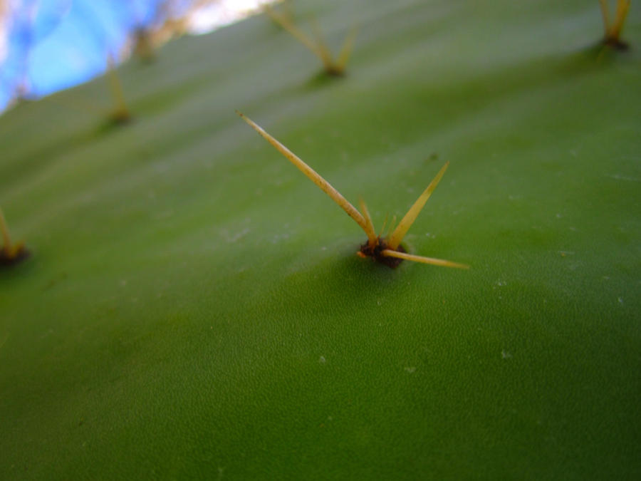 How Toothpicks Are Formed by ExcellentAdventures on DeviantArt