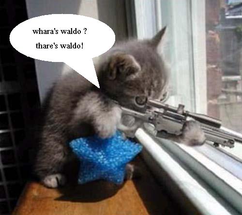 sniper cat found waldo