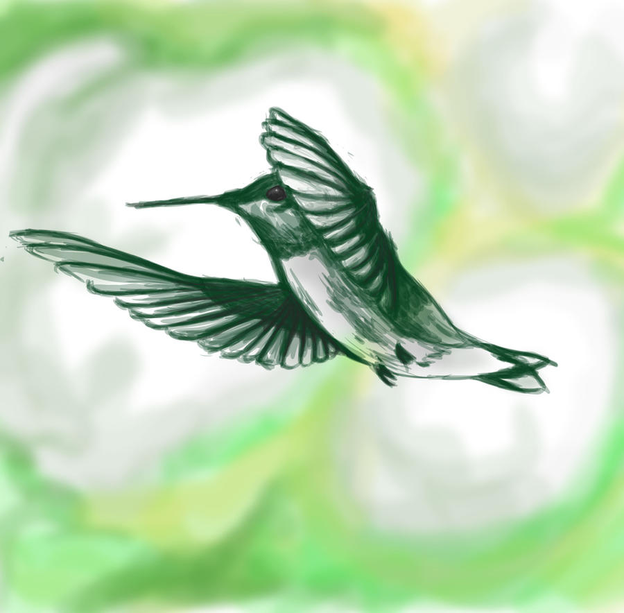 Hummingbird Speedpaint