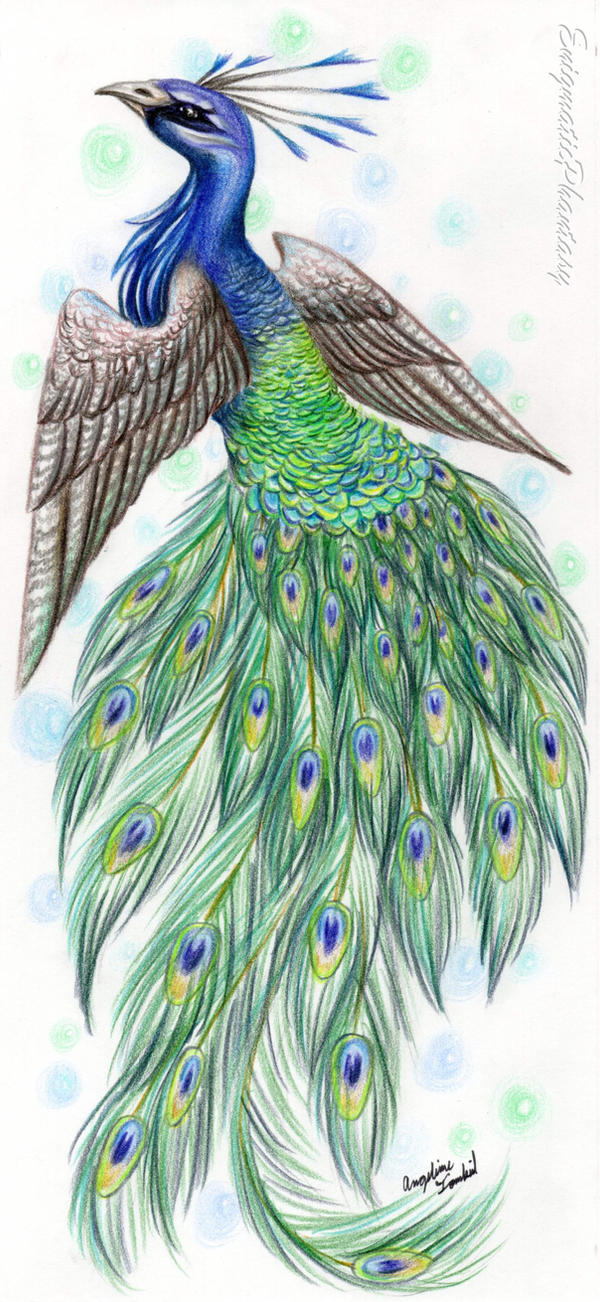 Peacock - Commission