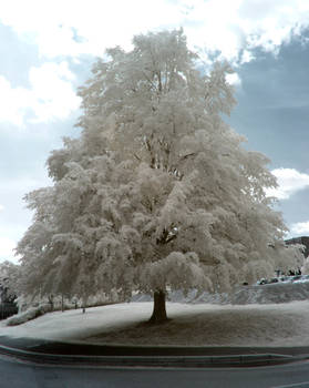 Exeter University in infrared: 2