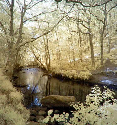 Dark River Teign: 1