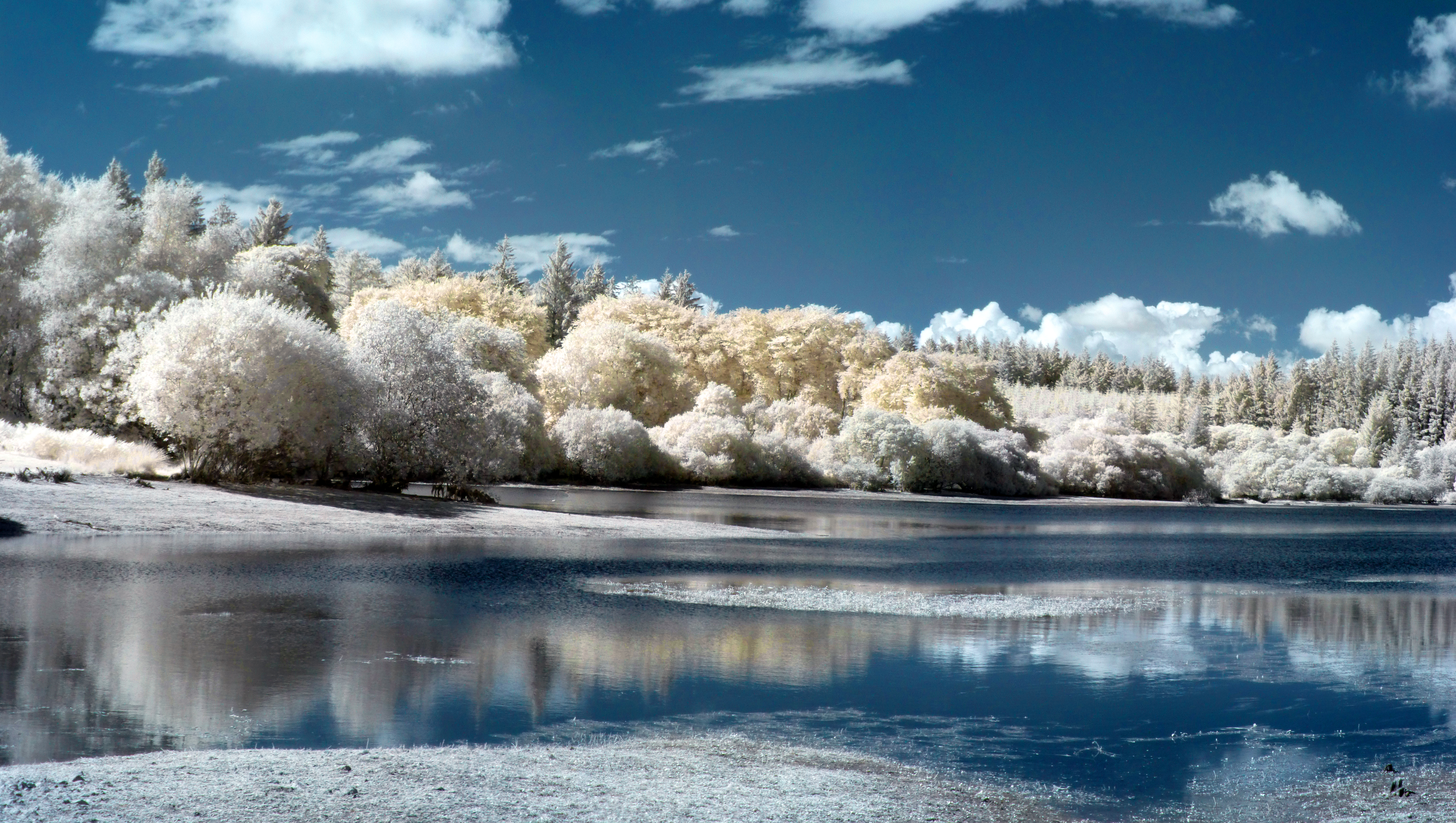 Fernworthy Reservoir in Infrared: 26