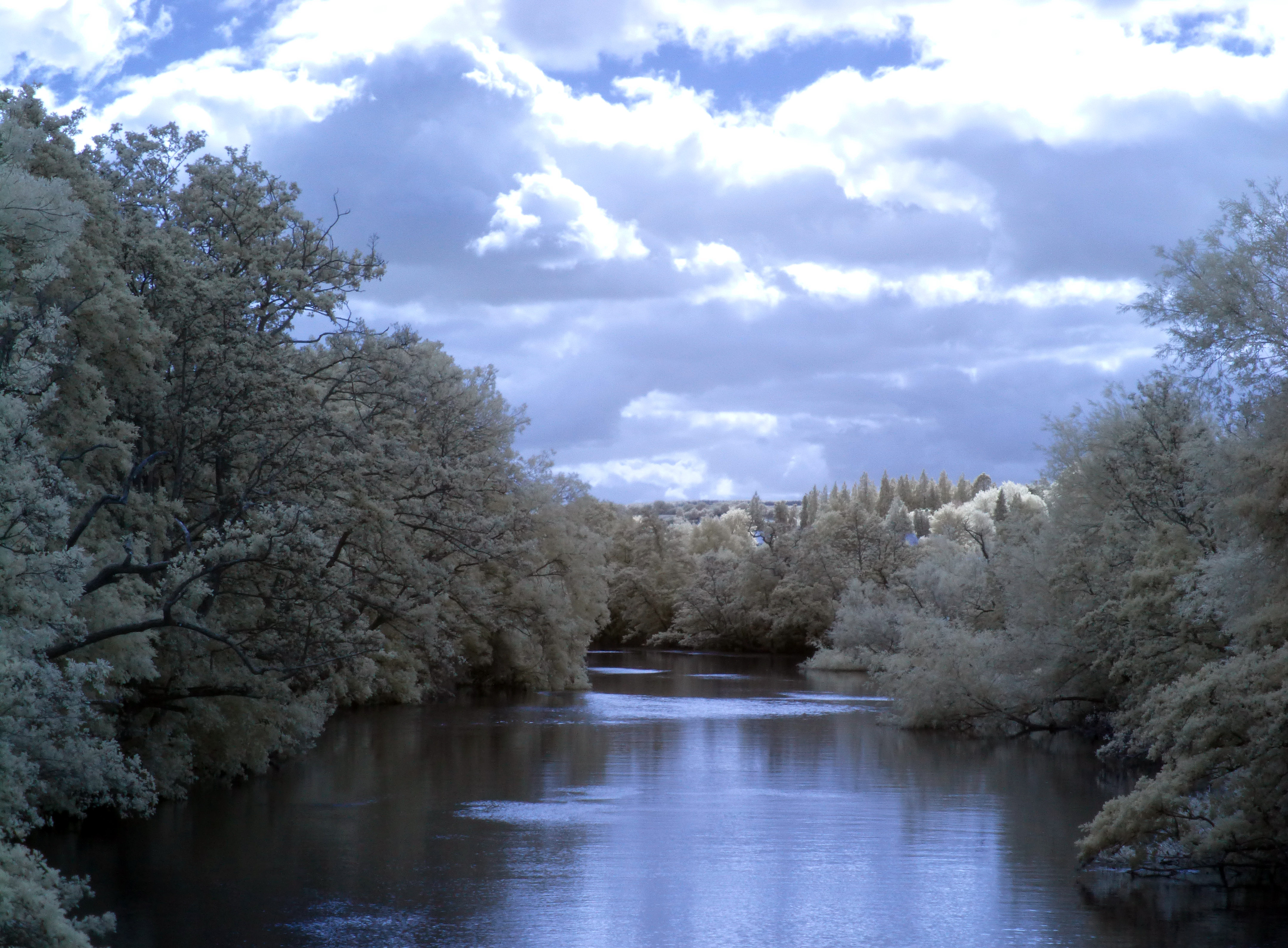 The River Exe in infrared: View 22