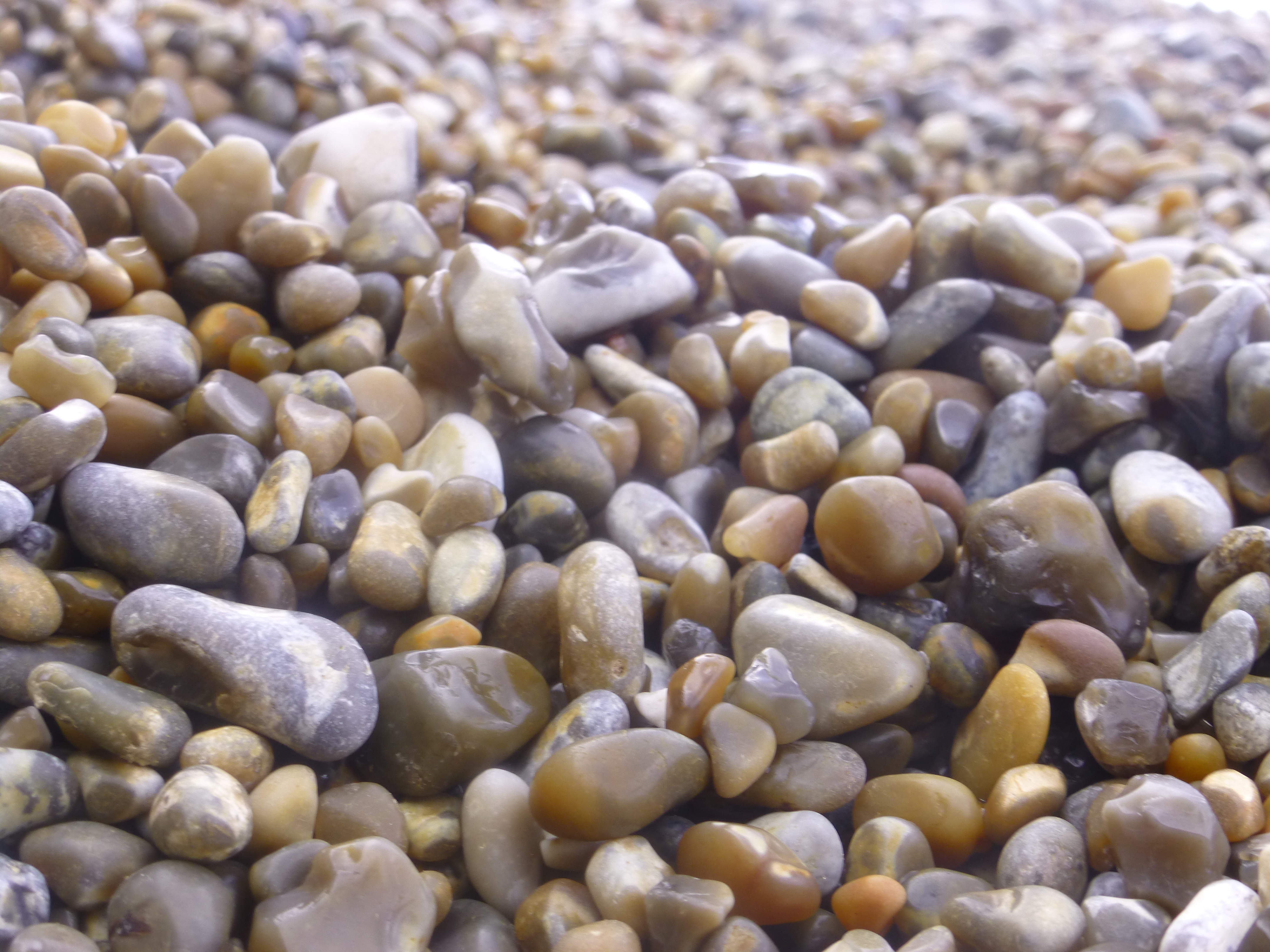 Durdle Door: 104: Beach Shingle