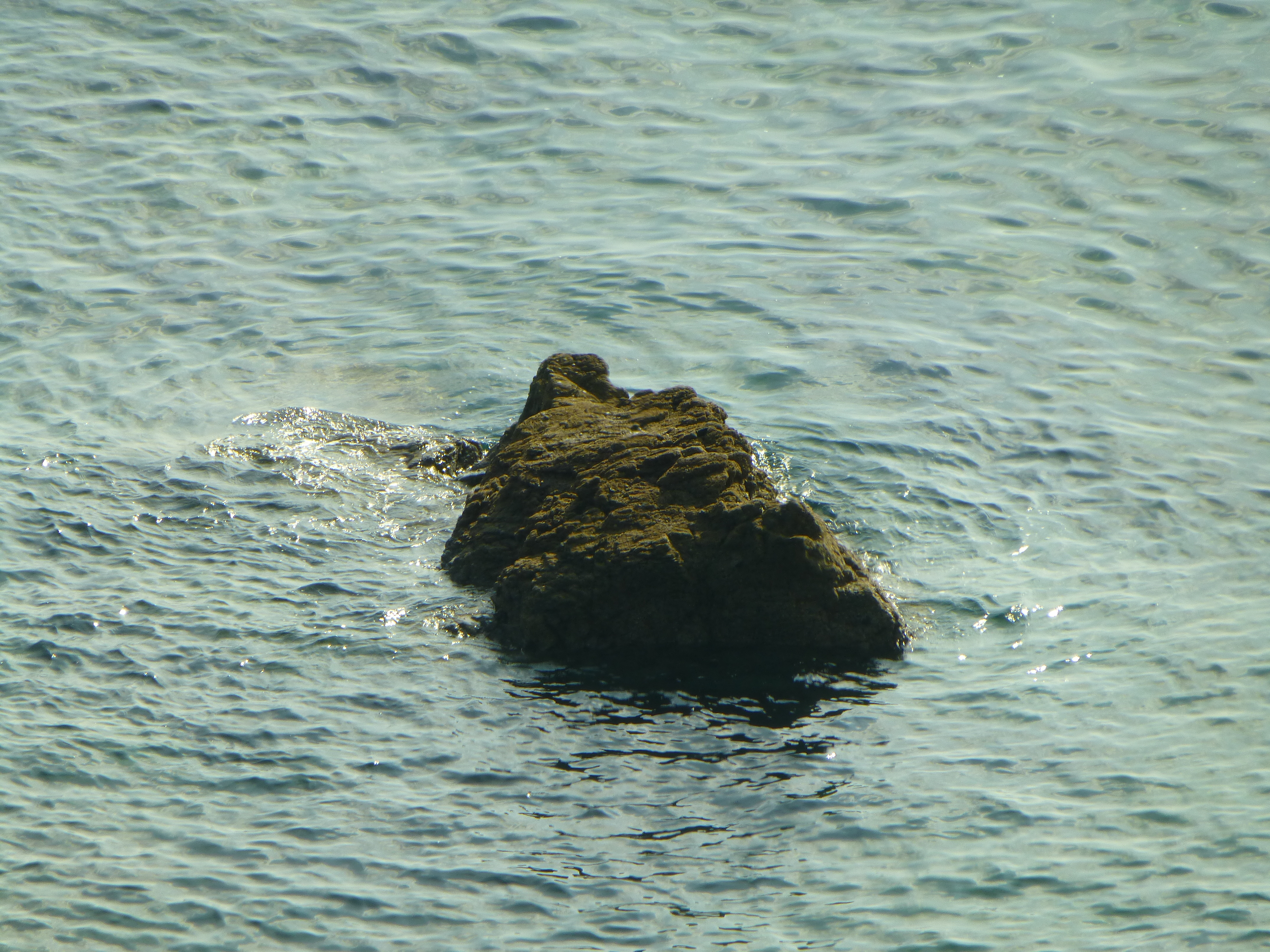 Lizard Point: View 18