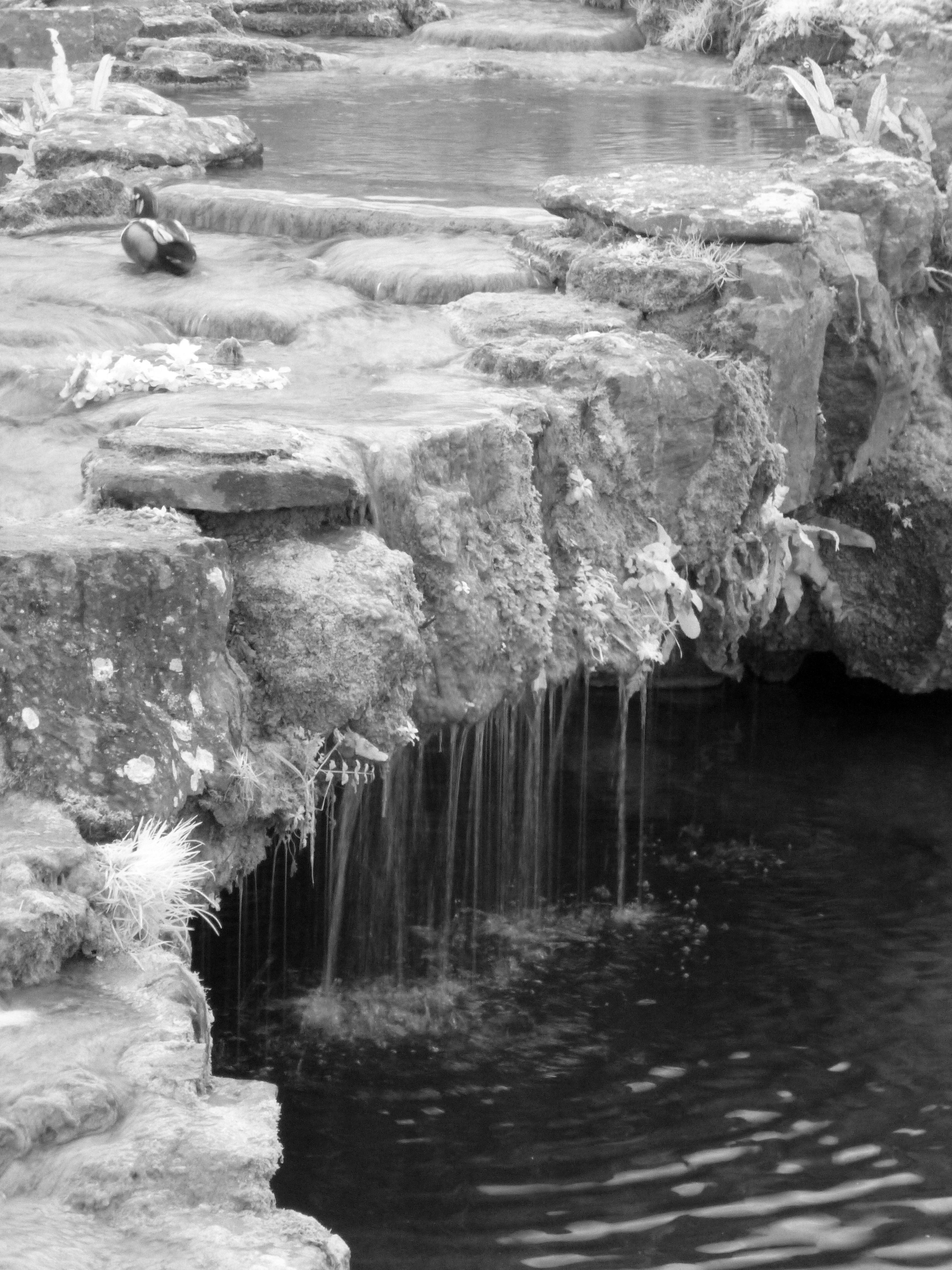 Arundel Wetlands in Infrared: 73