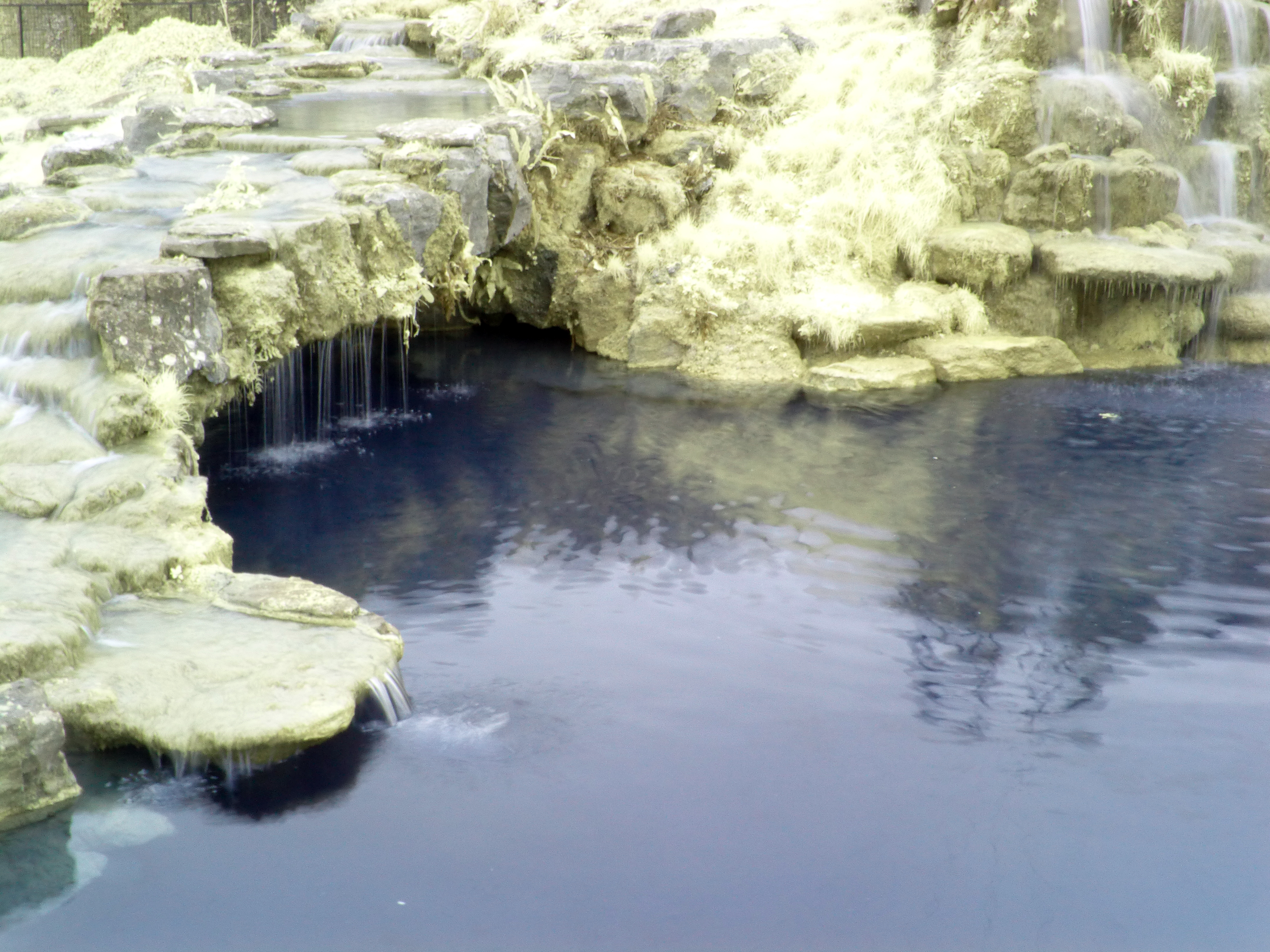 Arundel Wetlands in Infrared: 92