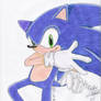 Sonic The Hedgehog