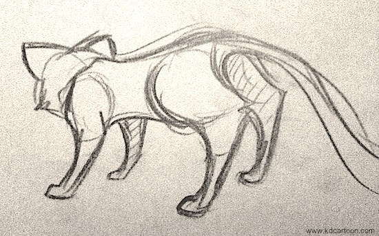 Cat rear view by kdonline on DeviantArt