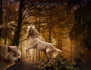 Wolves by doclicio Wolves by doclicio