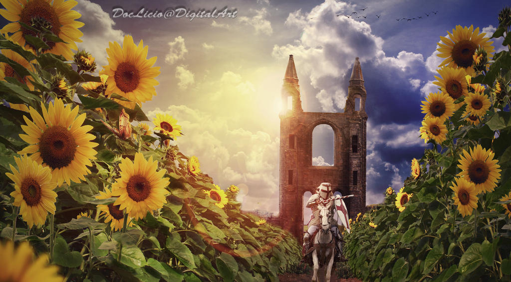 Sunflowers by doclicio Sunflowers by doclicio