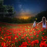Poppies and fireflies