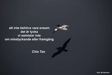 Chia Tao