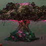 Big Mushroom Size reference