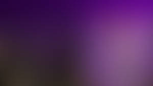 The elvish witch queen - Wallpaper #13