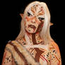 Warrior elf - Bodypaint 1/6