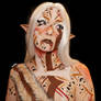 Warrior elf - Bodypaint 2/6
