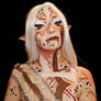 Warrior elf - Bodypaint 5/6
