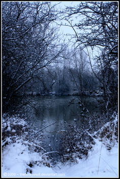 Winter Lake