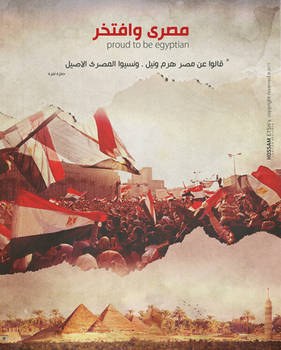 Egypt Revolution