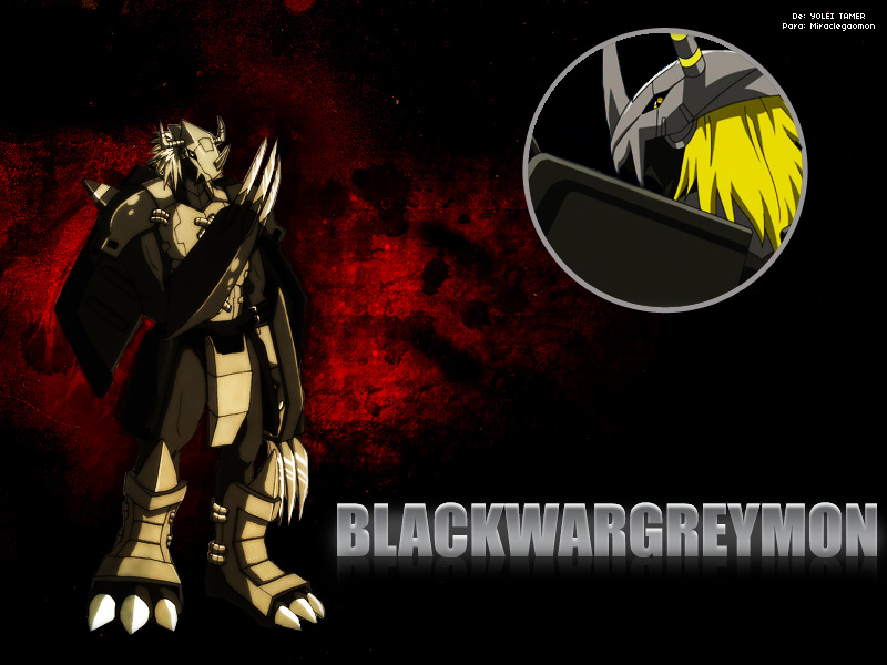 BlackWargreymon to Miracle