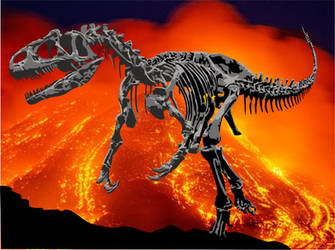 Allosaurus Skeleton