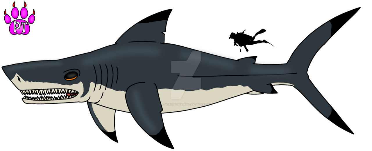 Megalodon by PTsCreatureVerse on DeviantArt