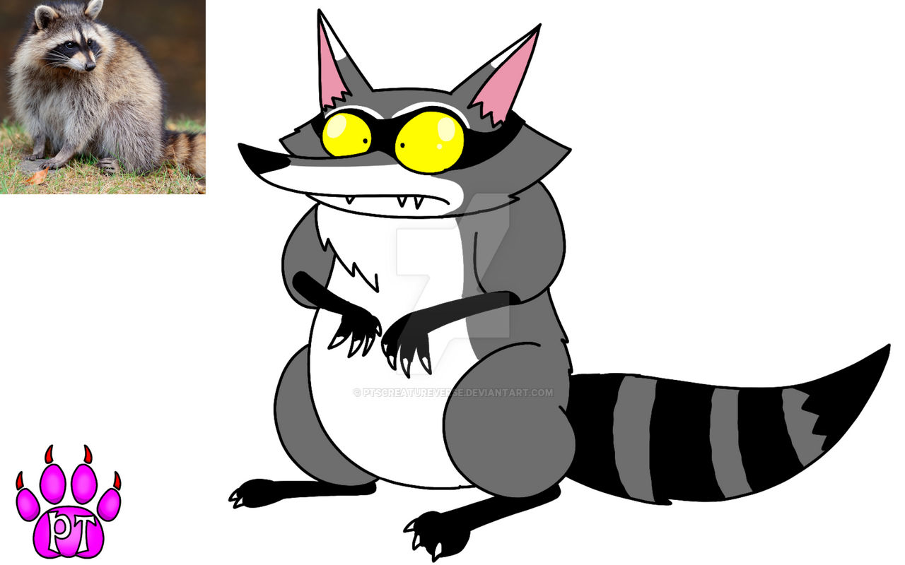 Raccoon by PTsCreatureVerse on DeviantArt